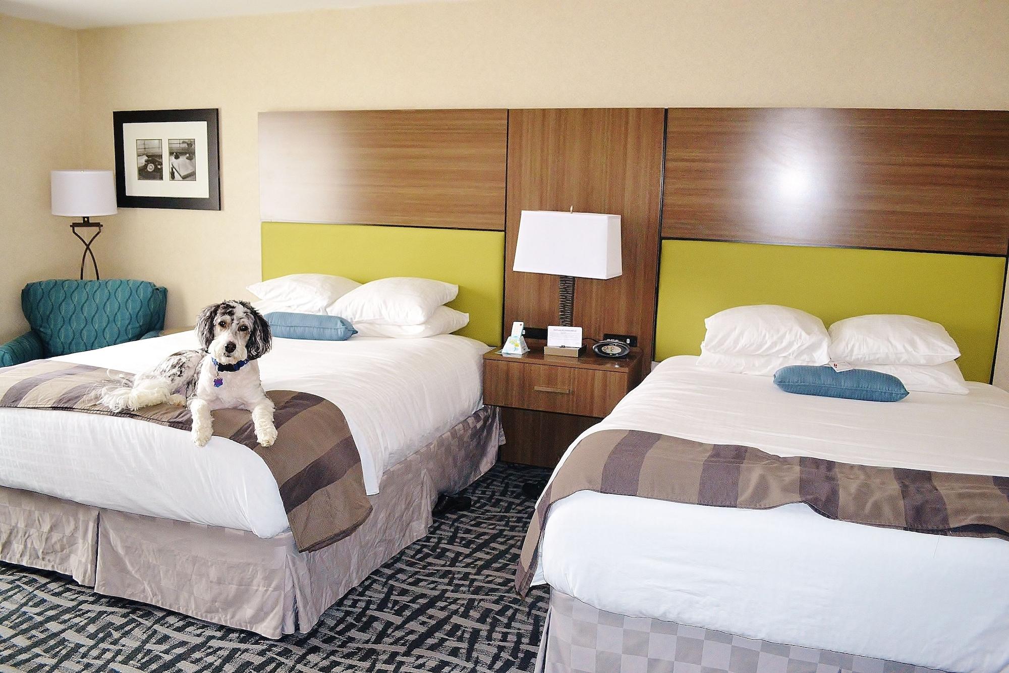 Best Western Dubois Hotel Εξωτερικό φωτογραφία